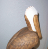 Head
